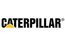 caterpillar